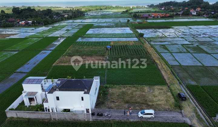 Land View of Rice Fields and Sea in Kelating Tabanan