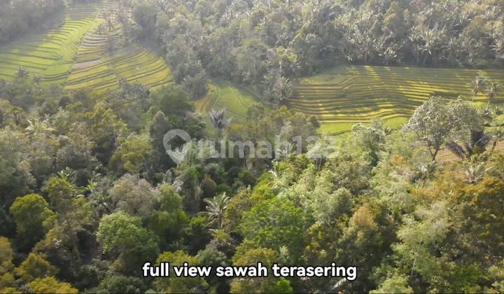 Land with terraced rice field view, bonus water source in Tabanan Land with terraced rice field view, bonus water source in Tabanan