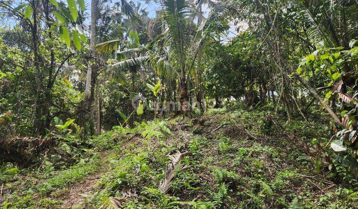 Garden land bonus water source in Tabanan terraced contour 1