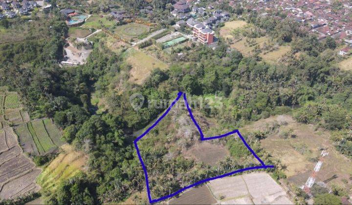 River cliff land with rice field and jungle view, 5 meter road access 1