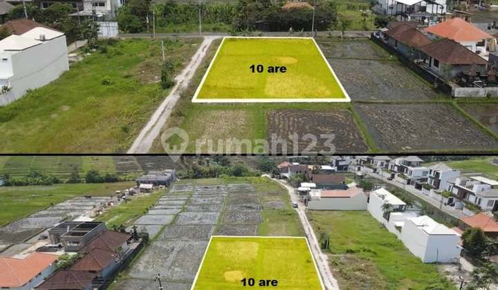 Tanah Cantik View Sawah Dekat Pantai Cemagi Bali