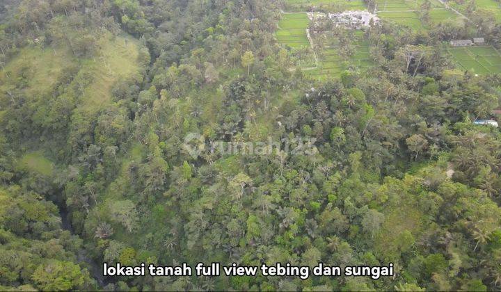 Full view land Jungle Los river cliff in Ubud, 4 meter road access 2