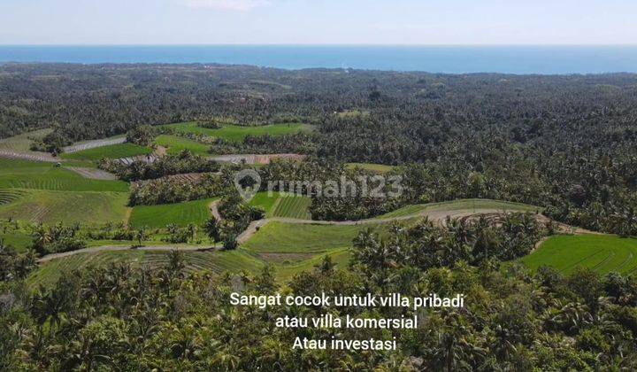 Tanah 3000m² View Laut & Sawah Abadi Di Tabanan Bali 13