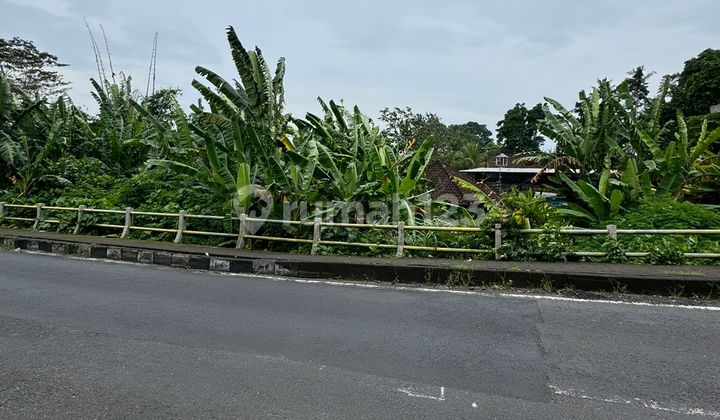 Tanah Komersial Kecil Strategis Jalan Raya Mambal Ubud