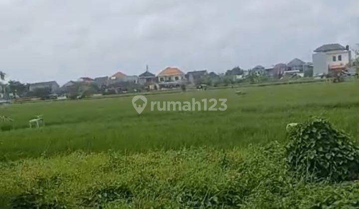 Tanah View Sawah Strategis Di Renon, Boleh Ambil 200m2 2