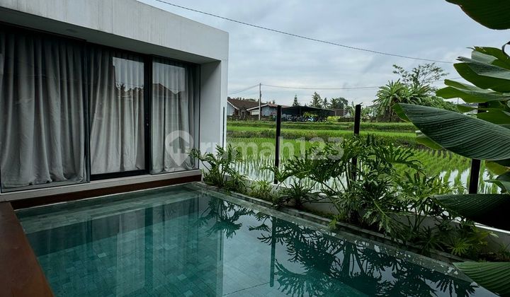Luxury Villa 2Br Full View Sawah Lotunduh Ubud Luxury Villa 2Br Full View Sawah Lotunduh Ubud