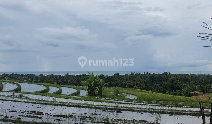 Tanah Strategis 3000m2 Full View Laut Dan Terasering Sawah di Pantai Soka Tabanan 1