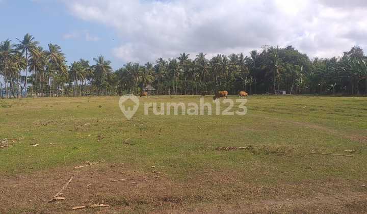 Tanah Strategis Pinggir Pantai Jembrana Lebar 180 Meter