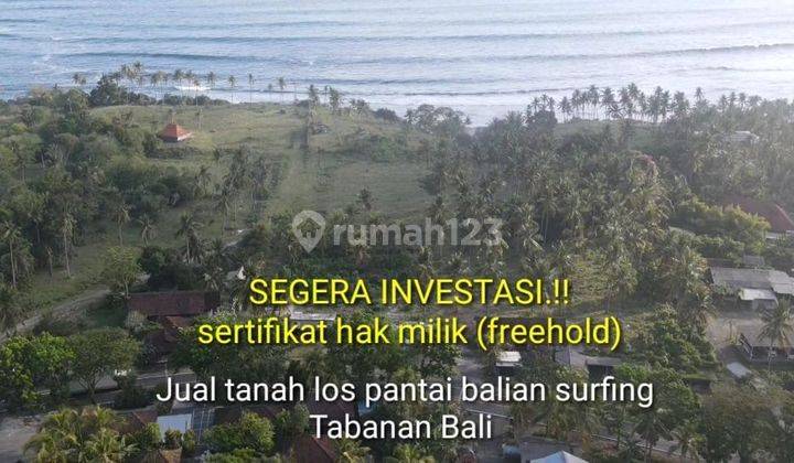 Tanah Komersial Pantai Balian Tabanan Untuk Resort Atau Villa 1