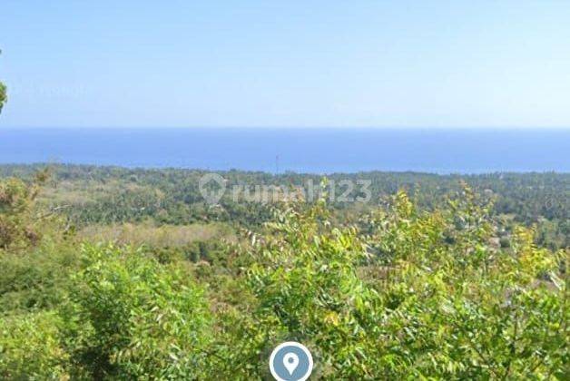 Land with full sea view in Singaraja with 7 meter asphalt road access 1