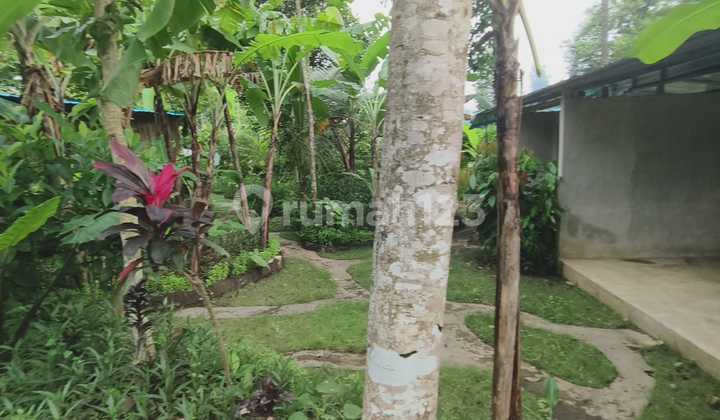 Tanah Full View Jungle Di Bedulu Ubud, Cocok Untuk Villa Tanah Full View Jungle Di Bedulu Ubud, Cocok Untuk Villa