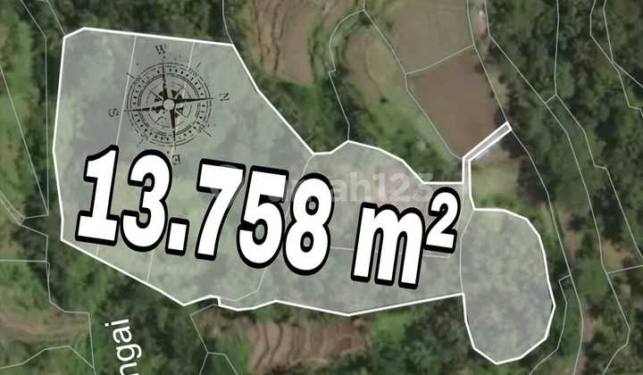 Tanah 1,3 Hektar View Sawah Dan Jungle Dekat Rice Terrace Ubud Tanah 1,3 Hektar View Sawah Dan Jungle Dekat Rice Terrace Ubud