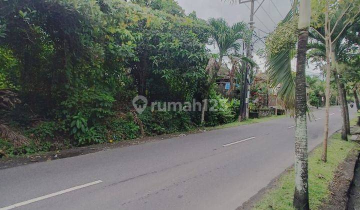 Tanah Jalan utama Canggu Babakan, Akses jalan 8 meter 1