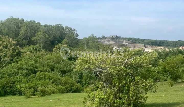 1 Hectare Flat Contour Land with Sea View in Nusa Dua 1 Hectare Flat Contour Land with Sea View in Nusa Dua