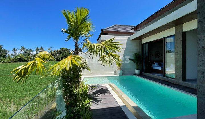 Luxury Villa Baru Lokasi Strategis 10 Menit Ke Central Ubud 2