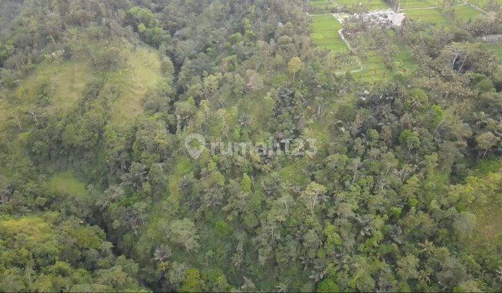 Full view land Jungle Los river cliff in Ubud, 4 meter road access 1