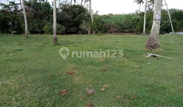 Tanah Los Pantai Pasut Tabanan 1 Ha, Itr Wisata