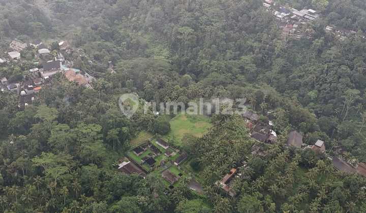 Tanah Los Tebing Sungai Wos Payangan Ubud 2