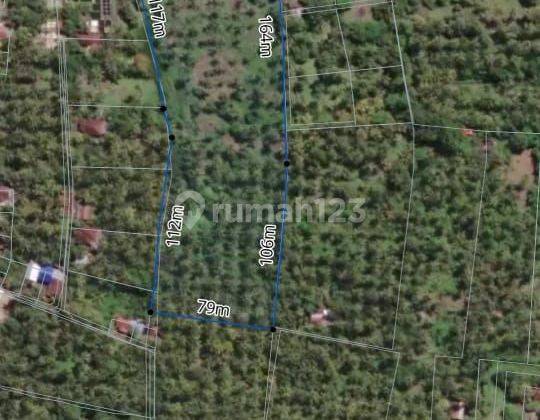 Beachfront land, 20 minutes to Lovina, suitable for resort or commercial villa 1