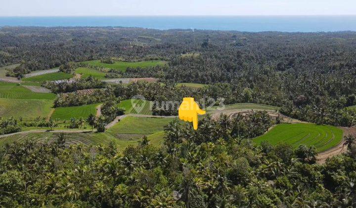 Tanah 3000m² View Laut & Sawah Abadi Di Tabanan Bali 12