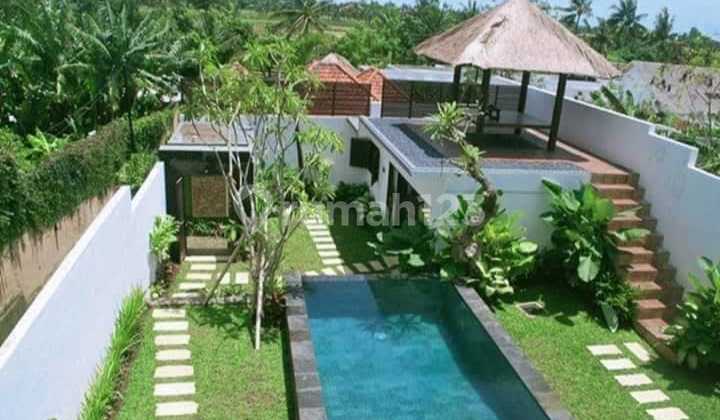Vila Mewah Bernuansa Alam 3 Kamar Di Pererenan Canggu Bali