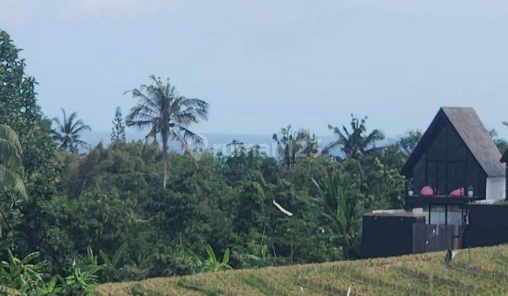 Tanah kawasan villa mewah, 300 meter ke pantai Balian 1