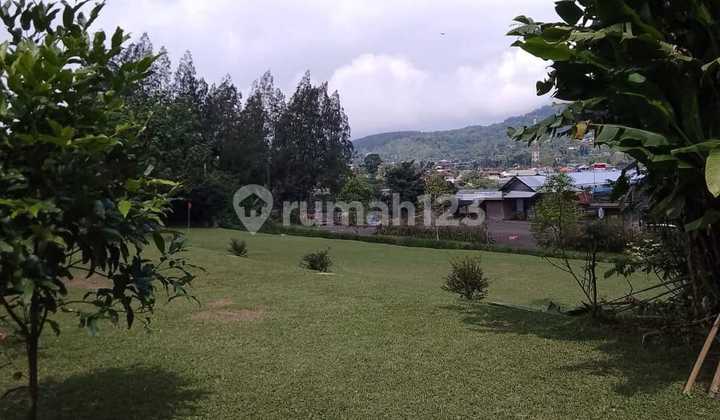Tanah View Danau Buyan 1,8 Hektar Di Jalan Utama Bedugul 1