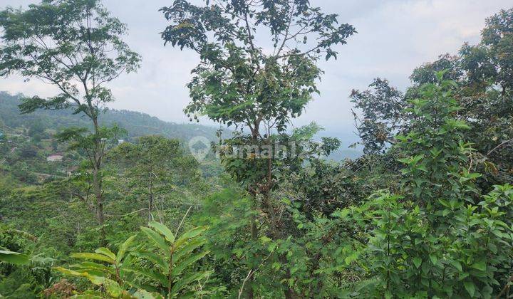 Land with full view of the sea and mountains, terraced contour in Buleleng 2