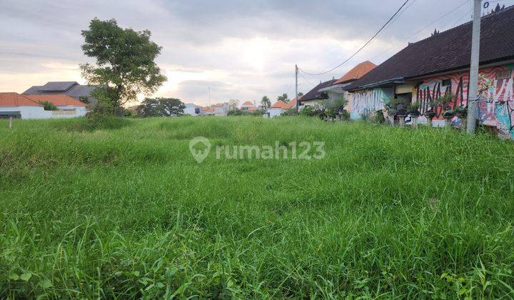 Tanah Komersial Disewakan Di Padang Linjong Canggu 2