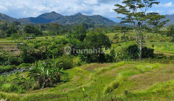 Tanah kontur datar view hamparan sawah  akses jalan 4 meter 1