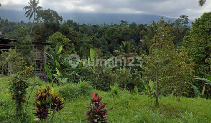 Scenic Land View of Valleys and Rivers in Mengesta, Tabanan