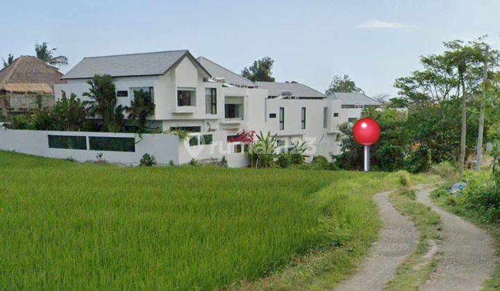 Tanah View Laut Dan Sawah 301m2 Di Pererenan Canggu 1