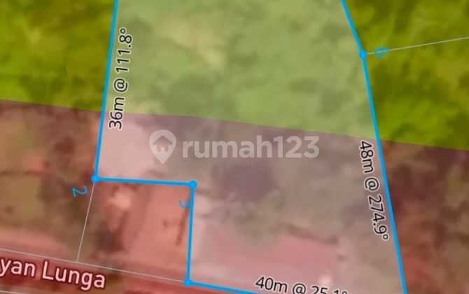 Tanah Premium Jalan Utama Tegalalang Full View Jungle