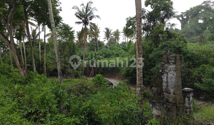 Tanah Strategis Luas Lingkungan Asri di Antap Tabanan