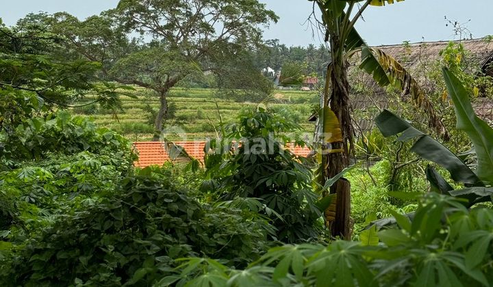 Tanah View Terasering Sawah Kawasan Villa Mewah Ubud