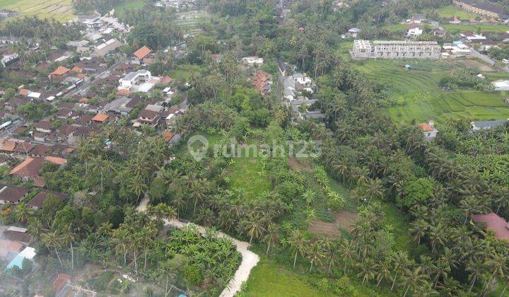 Tanah los tebing sungai di sentral Ubud, kontur 85 persen datar 1