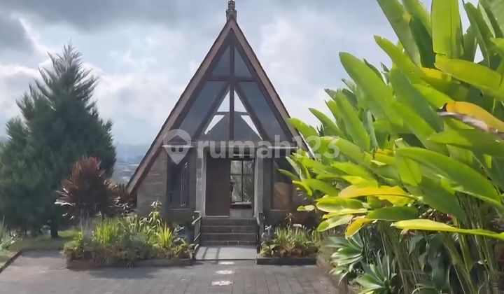 Resort Dan Villa View Gunung Lembah Bukit Sawah Di Baturiti Resort Dan Villa View Gunung Lembah Bukit Sawah Di Baturiti