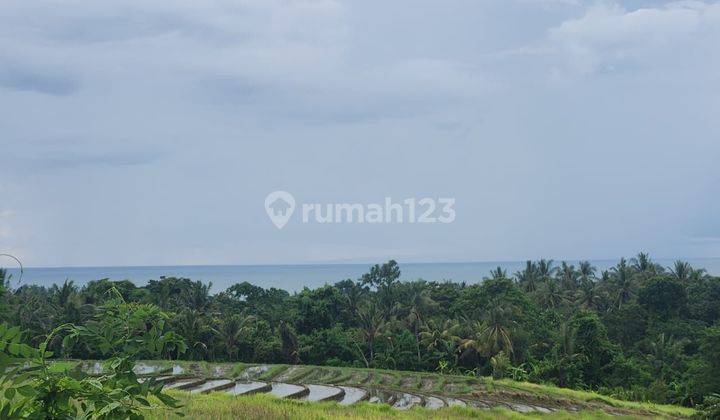 Tanah Strategis 3000m2 Full View Laut Dan Terasering Sawah di Pantai Soka Tabanan 2