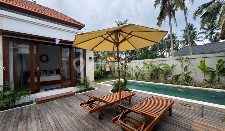 Villa Mewah Modern Minimalis Baru di Ubud Bali