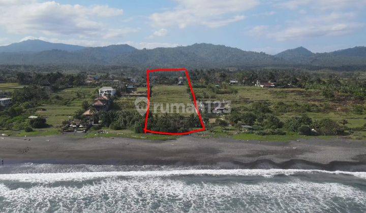Tanah Los Pantai Medewi Surfing, Kawasan Resort Mewah 7