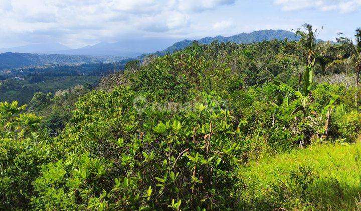 Land with full view of hills in Karangasem sediment, 7 meter road access 1