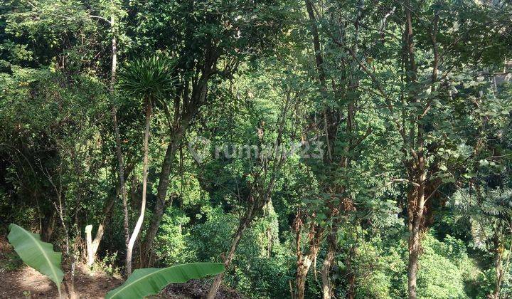 Tanah murah meriah los tebing sungai 3,5 meter ke sentral ubud 1