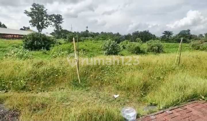 Tanah Murah Los Pantai Ketewel 1975M2 SHM