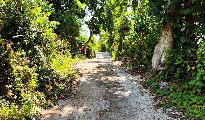 Tanah kontur datar view hamparan sawah  akses jalan 4 meter 2