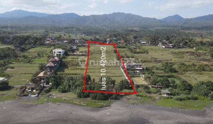 Tanah Los Pantai Medewi Surfing, Kawasan Resort Mewah 4
