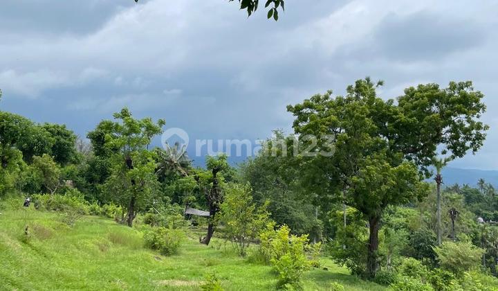 Tanah Komersil Tepi Pantai Seraya Karangasem Tanah Komersil Tepi Pantai Seraya Karangasem