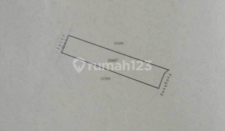 Tanah View Tebing Jungle Di Tukad Penet Petang Badung Tanah View Tebing Jungle Di Tukad Penet Petang Badung