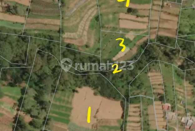 Tanah Luas View Pegunungan Dan Hutan Di Bedugul