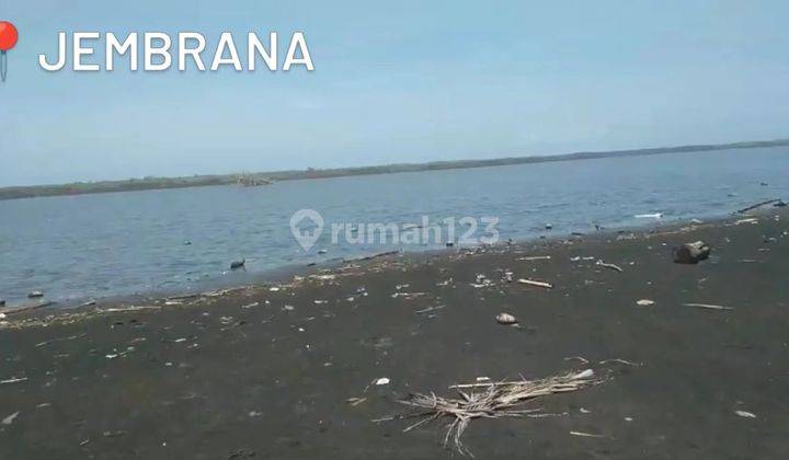 Flat contour land at Pekutatan beach, beach front width 36 meters 1