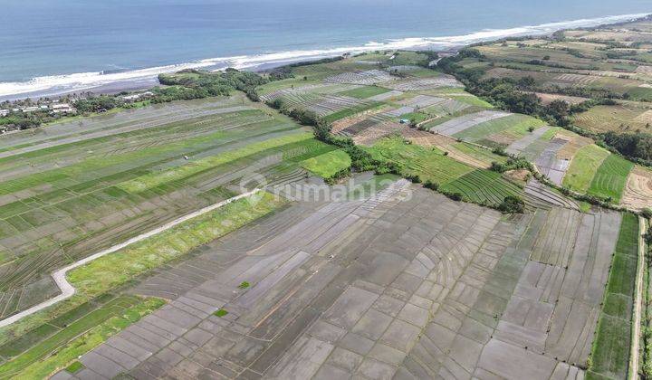 Tanah view laut dan sawah di Tabanan, Boleh 500m2 1